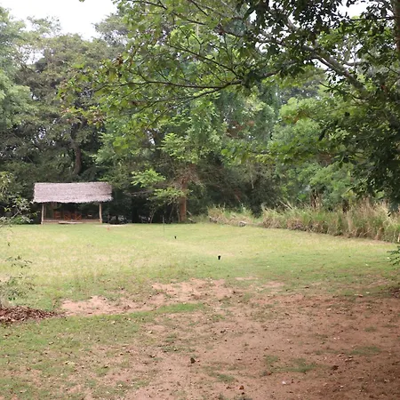 Wildescape, Yala Blocks 3 & 5 Villa Buttala Exterior photo